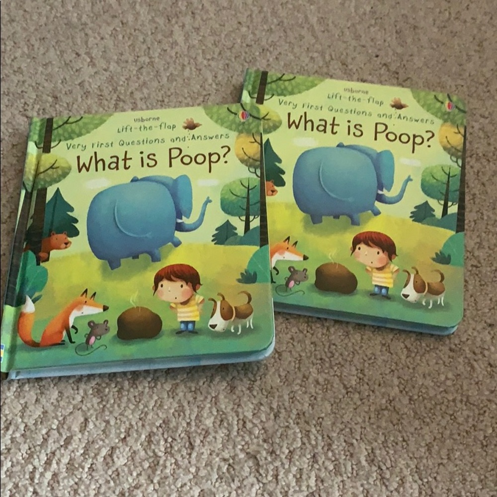 Lift the Flap - What is poop 💩? Usborne